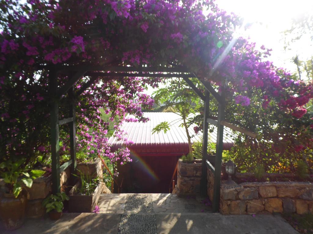 Aythaya Monte Divino Lodge Taunggyi Exterior foto